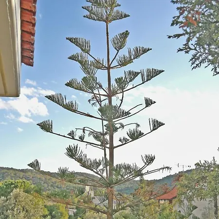 Arokaria House Kanakia