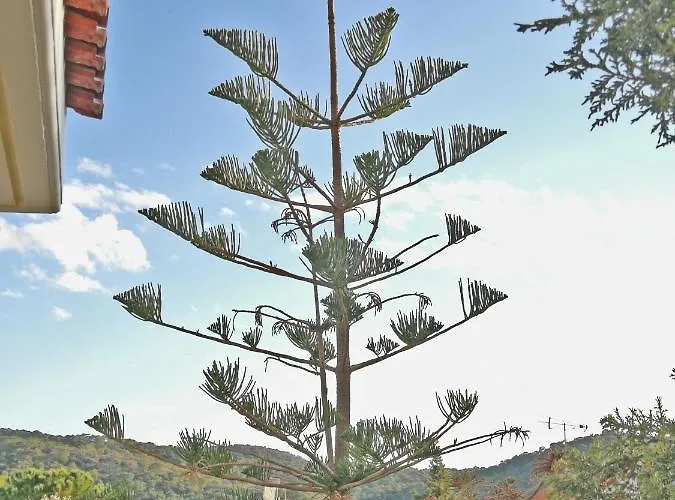 Arokaria House Kanakia